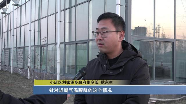 太原：科技助力农业生产 蔬菜大棚生机盎然(图9)