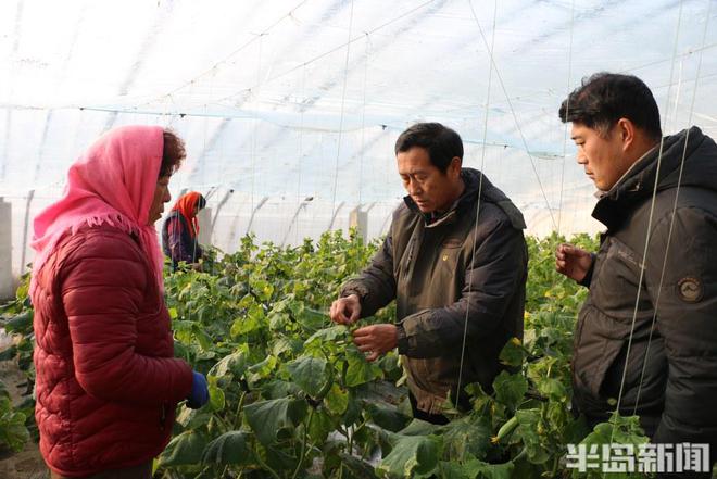 新澳门游戏村村有好戏丨“正高”农民拍视频圈粉十万种植户还开起了农校(图3)