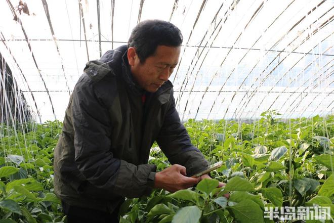 新澳门游戏村村有好戏丨“正高”农民拍视频圈粉十万种植户还开起了农校(图11)