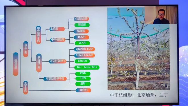 2021中国樱桃种植论坛隆重召开！(图4)