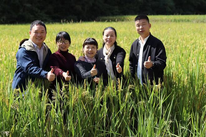 新澳门游戏他们叫“民宿共富师”！(图19)