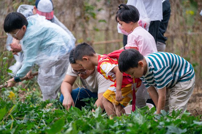 新澳门游戏他们叫“民宿共富师”！(图22)