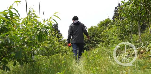 致敬最美劳动者丨因为一个七块五的闹钟他选择扎根乡村37年(图7)