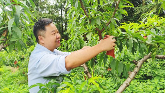 邮储银行炎陵县支行党支部开展“乡村振兴 采摘助农”主题党日活动(图1)