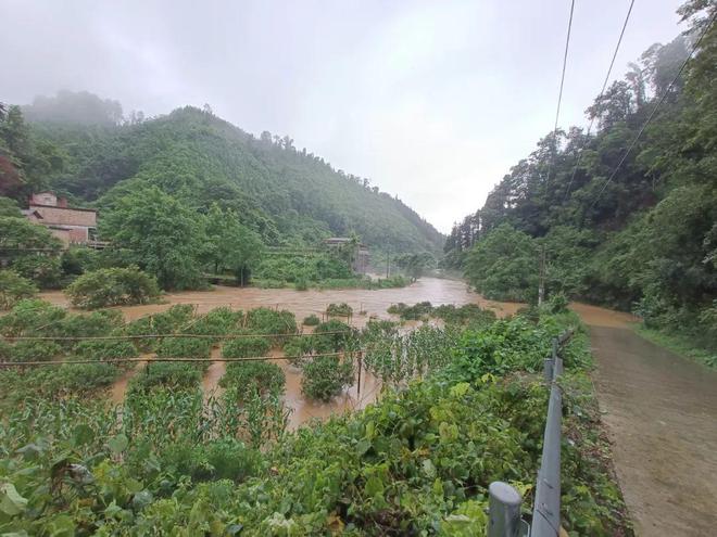 新澳门游戏网站入口暴雨过后金桔果园应急管理措施(图2)