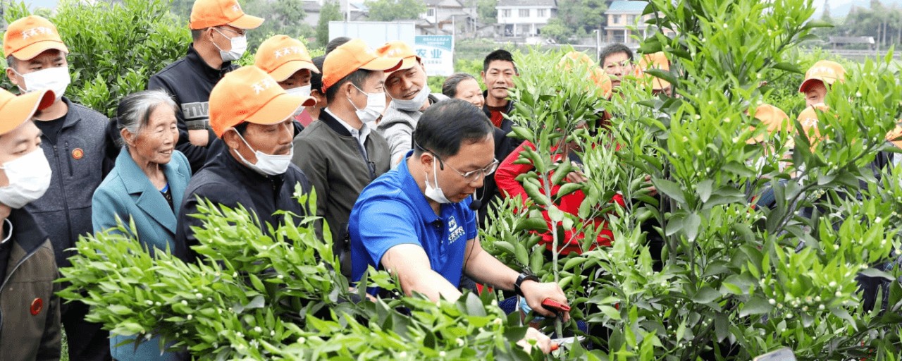 融资丨农民职业教育服务平台「天天学农」完成C轮融资松禾资本领投(图3)